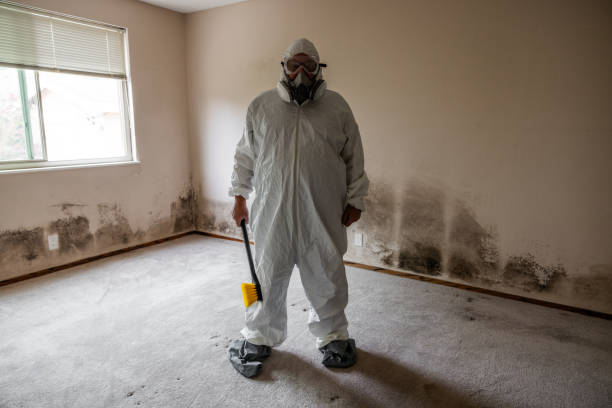 Best Toxic Mold Removal  in Woodbine, NJ